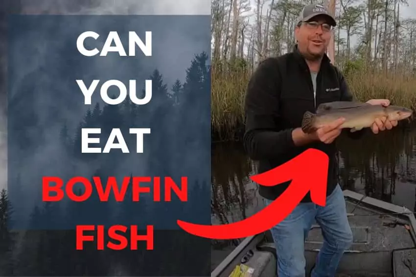 can you eat bowfin fish