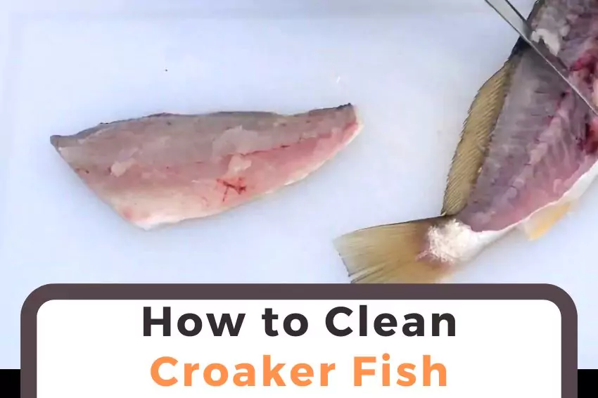 How to Clean Croaker Fish
