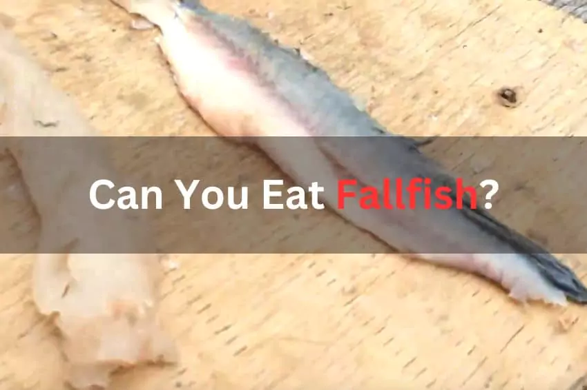 can you eat fallfish
