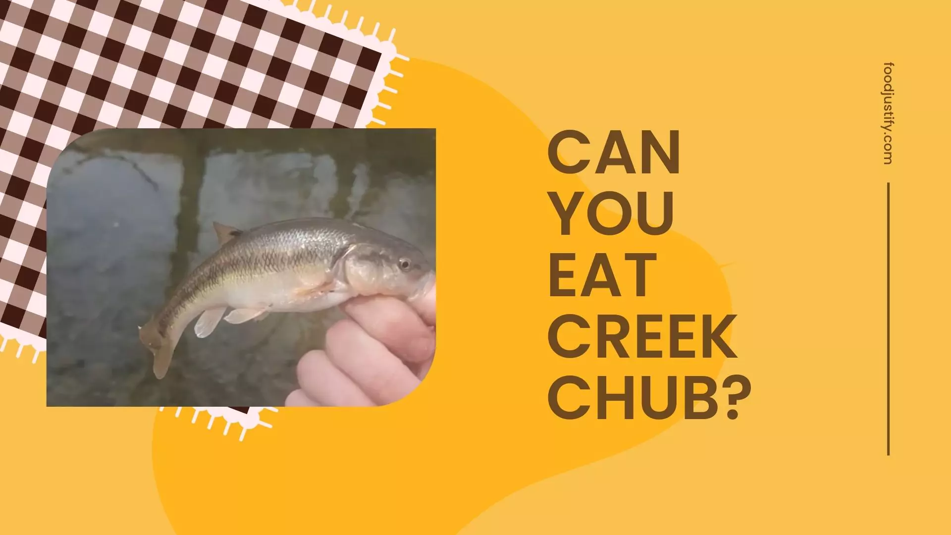 can-you-eat-creek-chub