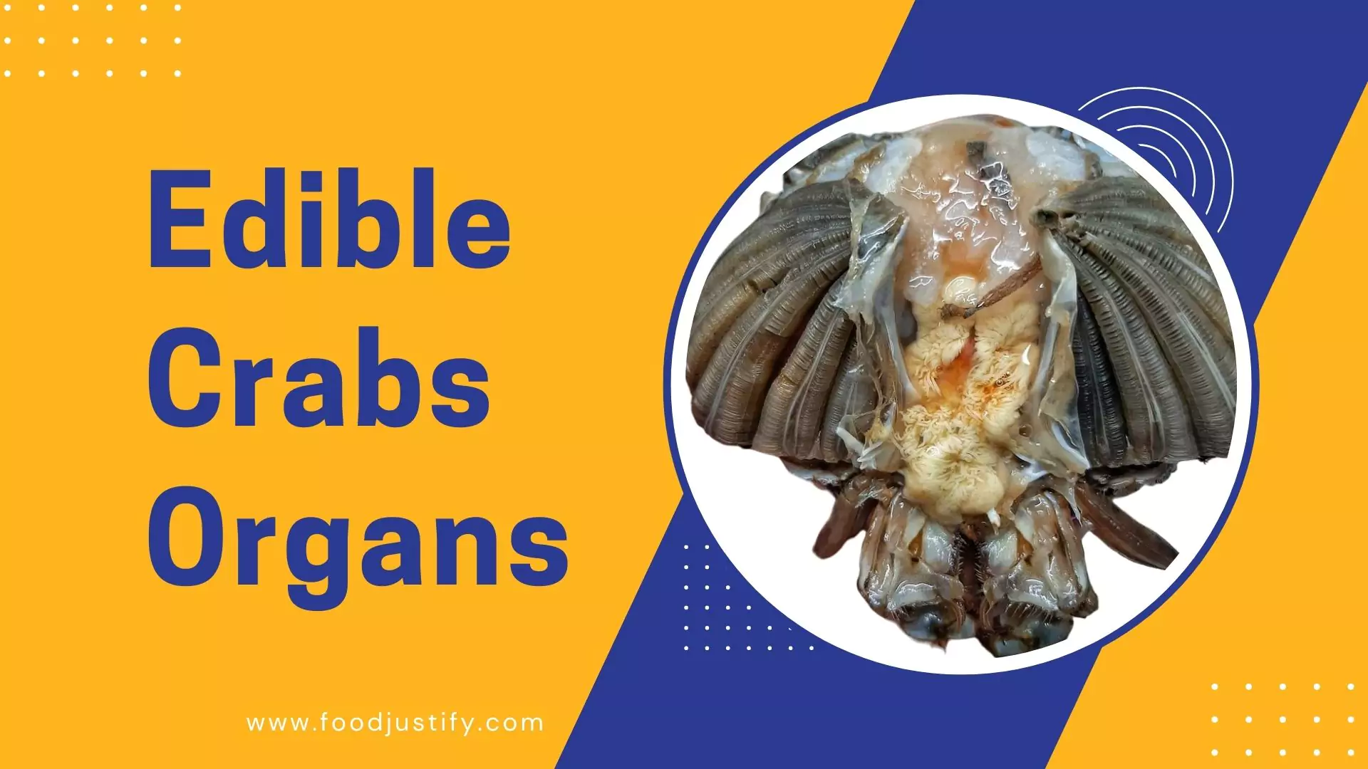 edible crab organs
