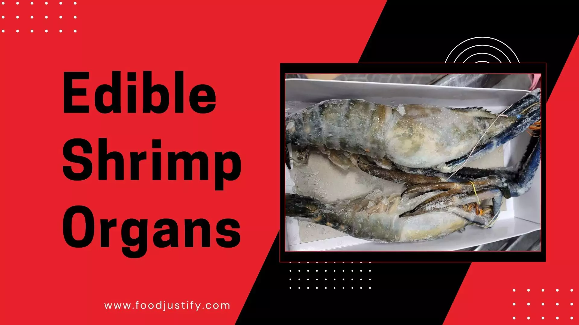 edible-shrimp-organs