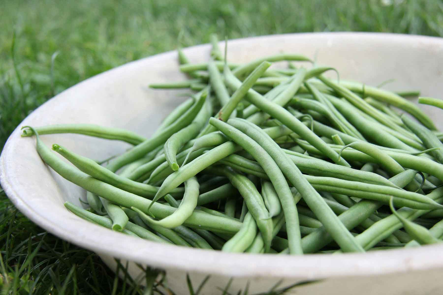 The Korean Green Bean Gambit: How Side Dishes Became the Soul of the BBQ Table